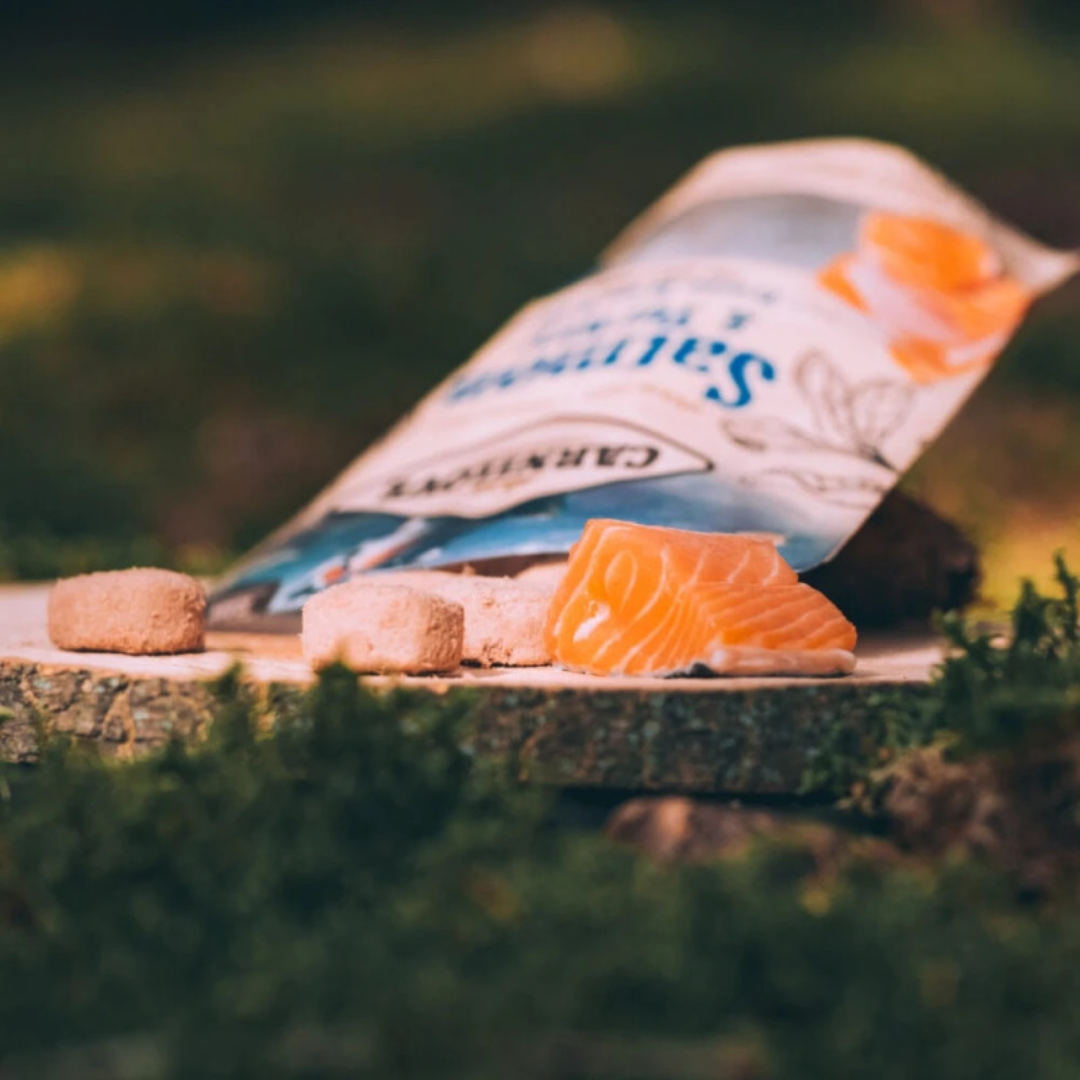 Carnilove Salmon & Turkey Freeze-Dried Raw Dog Treats
