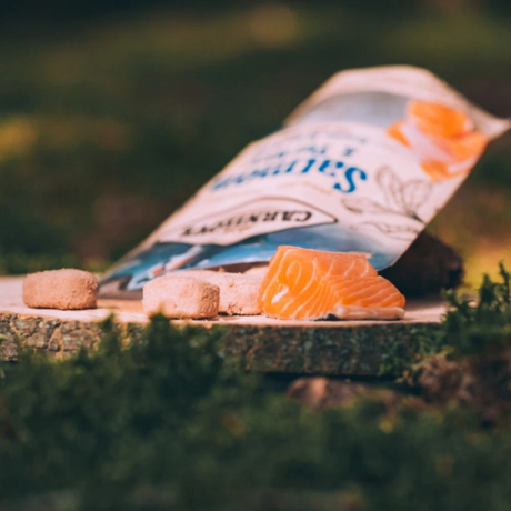 Carnilove Salmon & Turkey Freeze-Dried Raw Dog Treats