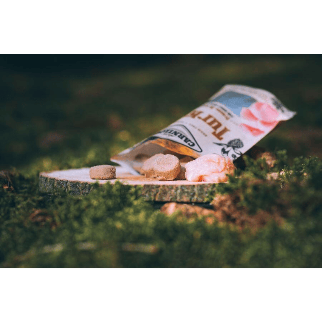 Carnilove Turkey Freeze-Dried Raw Dog Treats