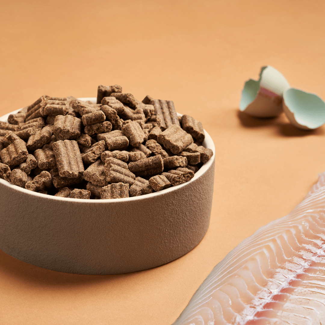 Darf North Sea Cold Pressed Dog Food