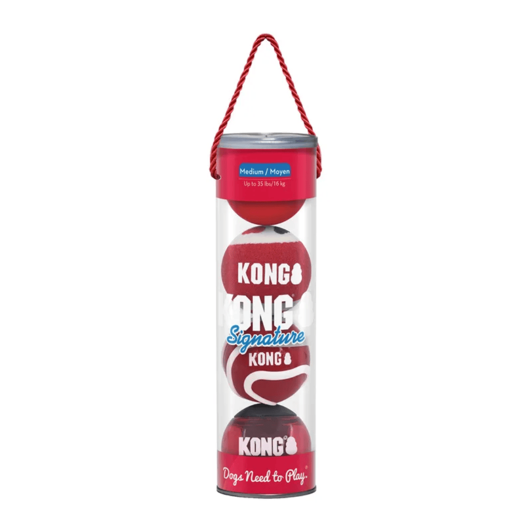 Kong Signature Balls 4-pk