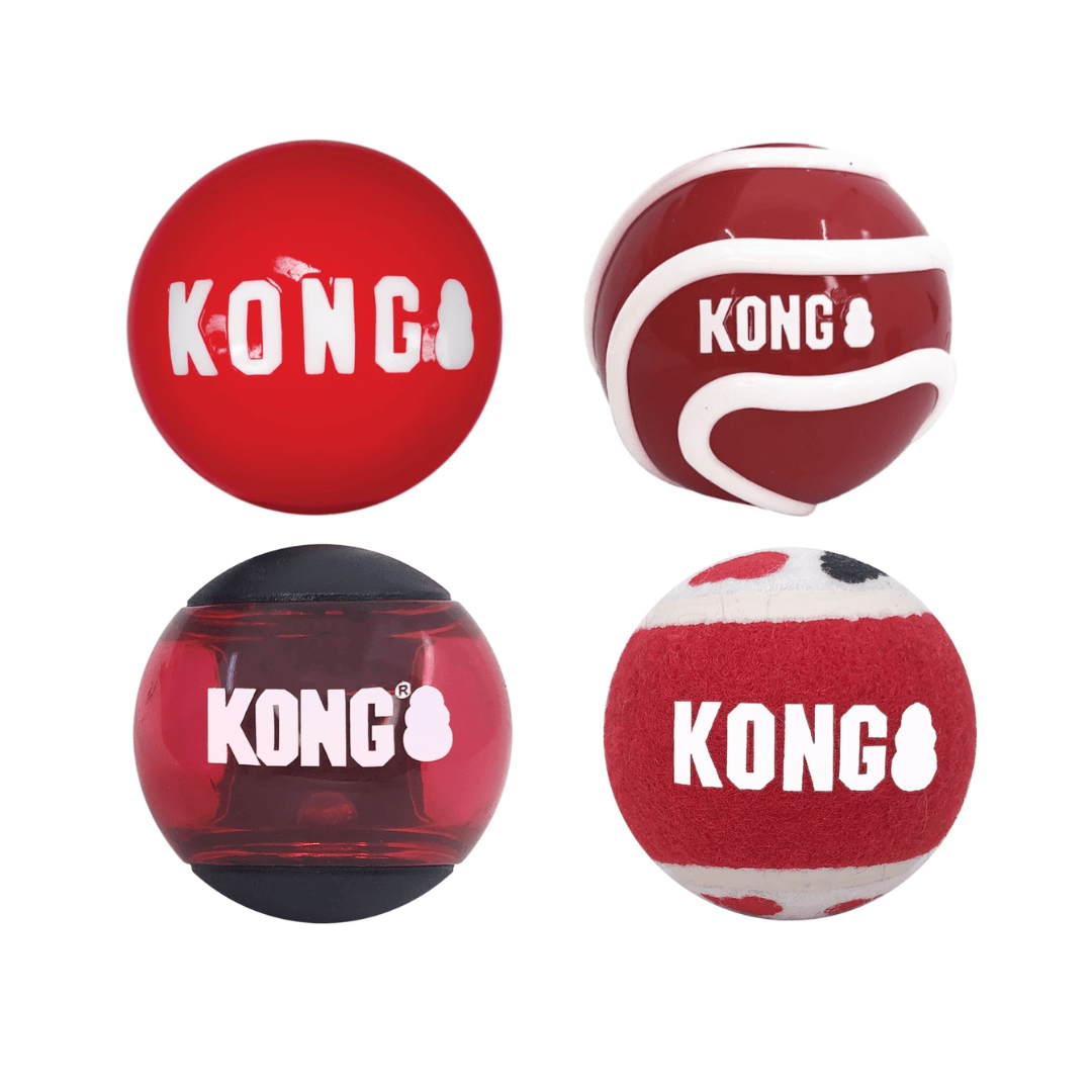 Kong Signature Balls 4-pk