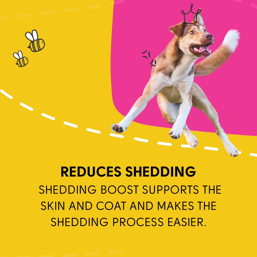 Excellent Pets Shedding Boost