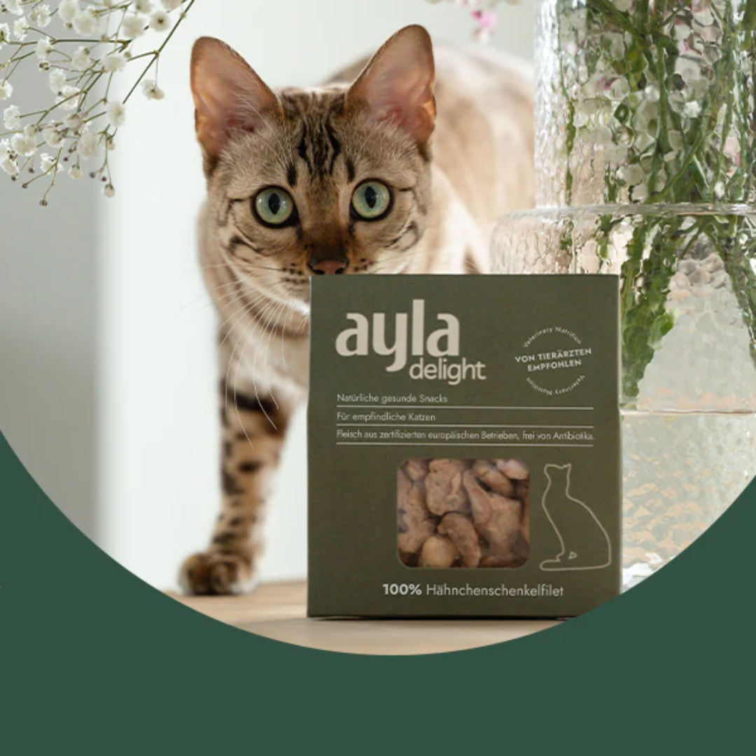 Ayla Delight Chicken Thigh Fillet Cat Treats