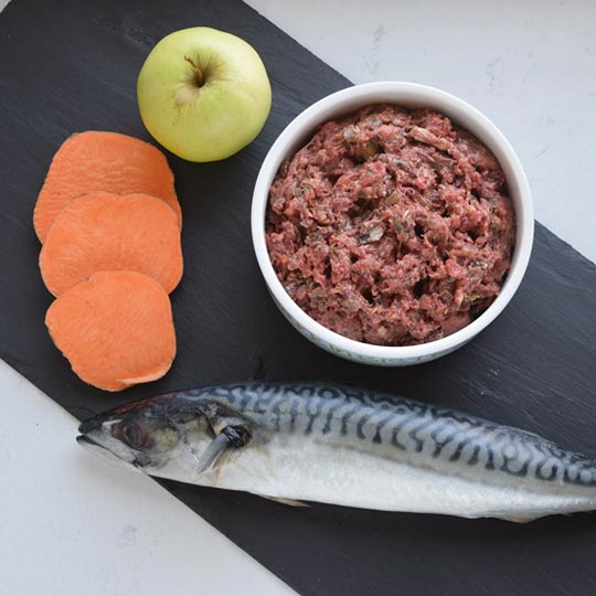 Barkin Bistro Surf 'N Turf