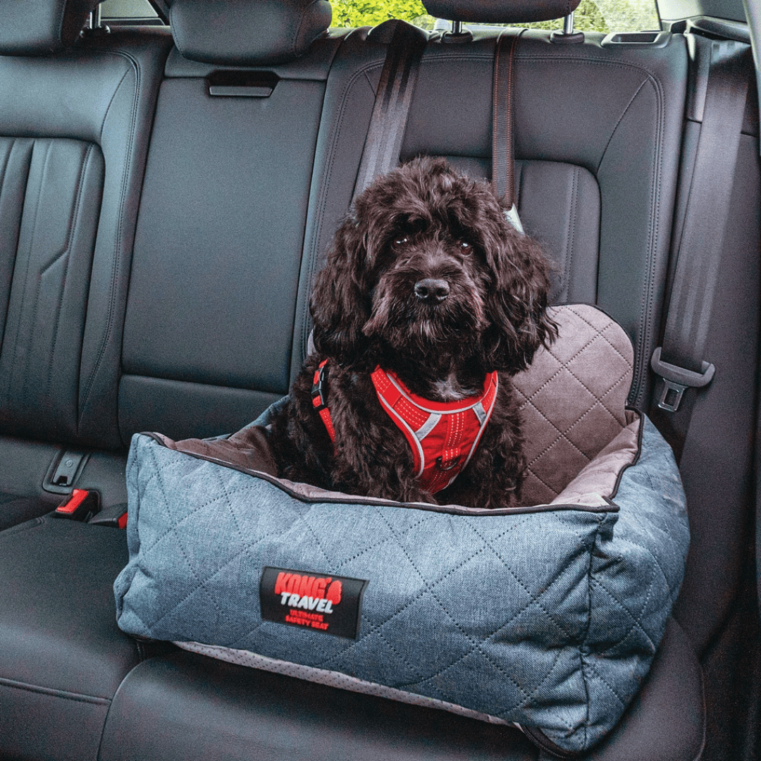 Kong Travel Ultimate Safety Seat