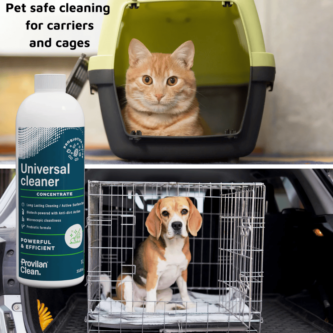 Probiotic Universal Cleaner Concentrate (1:100) - Provilan Clean