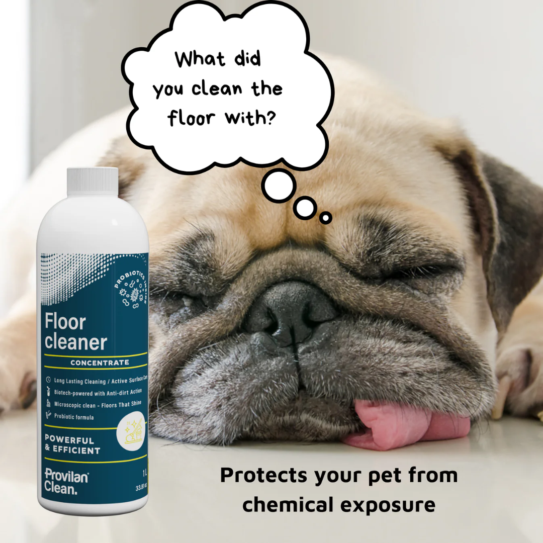 Probiotic Floor Cleaner Concentrate (1:100) - Provilan Clean
