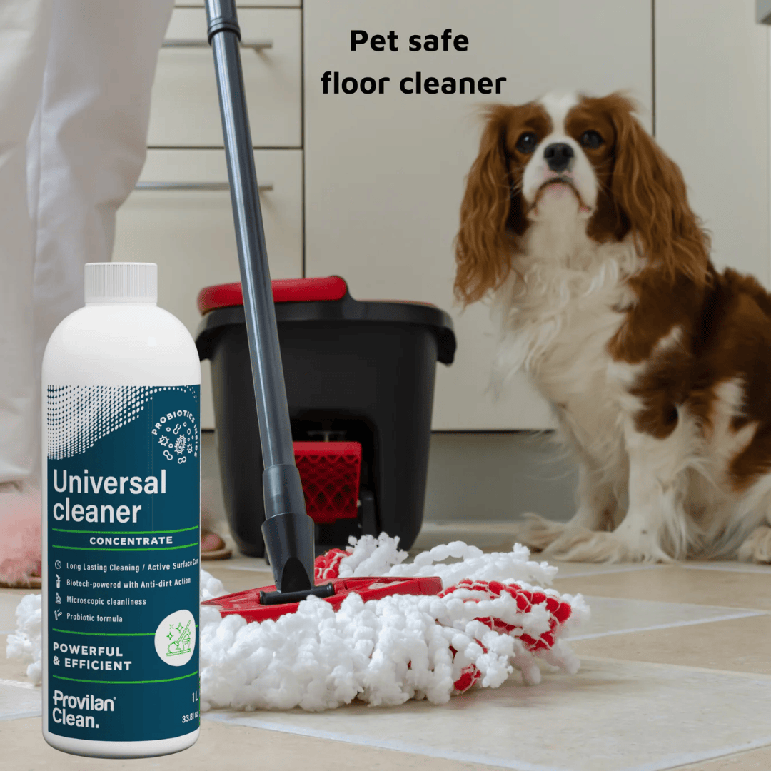 Probiotic Universal Cleaner Concentrate (1:100) - Provilan Clean