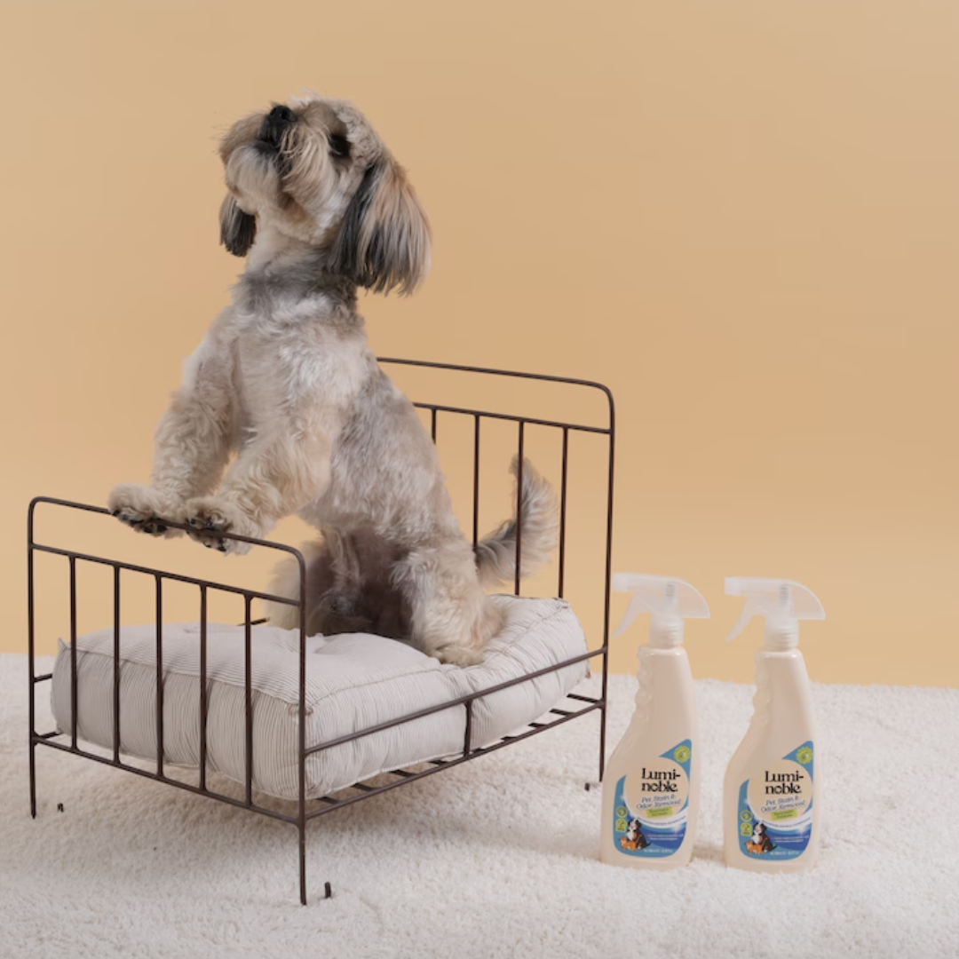 Lumi-Noble Odor & Stain Remover