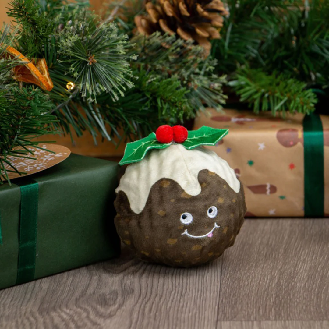 Ancol Bouncing Colin Junior