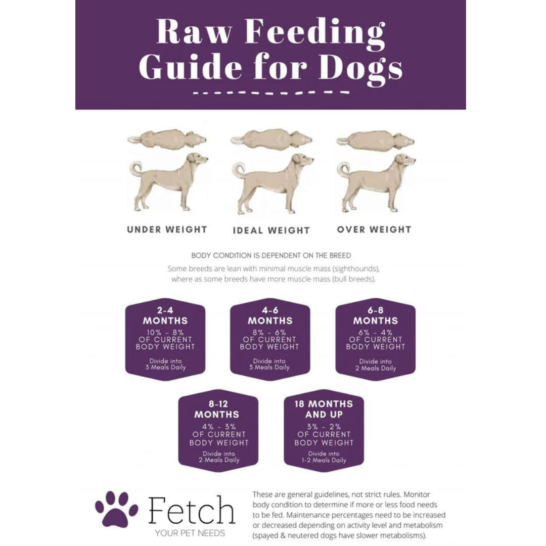 Barkin Bistro Pancreatic Support