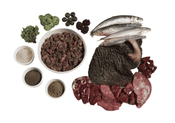 Raw ingredients of Paleo Ridge Plus Surf and Turf.