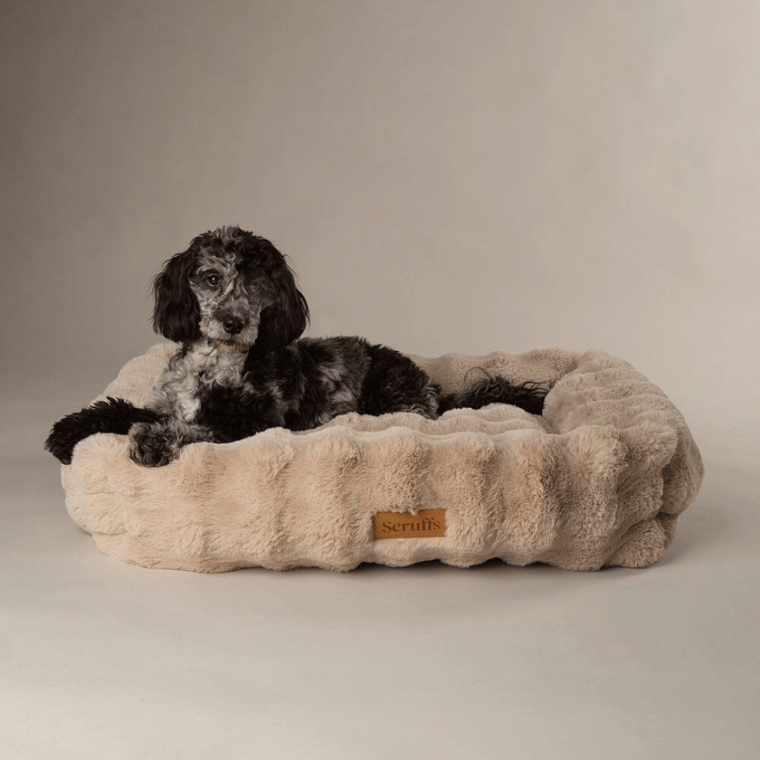 Scruffs Alpine Box Bed