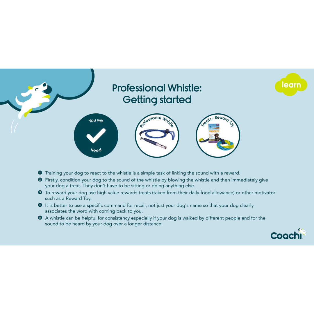 Coachi Professional Whistle