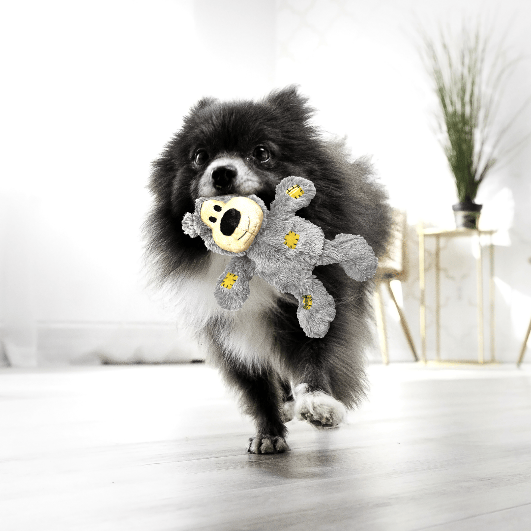 Kong Wild Knots Bear