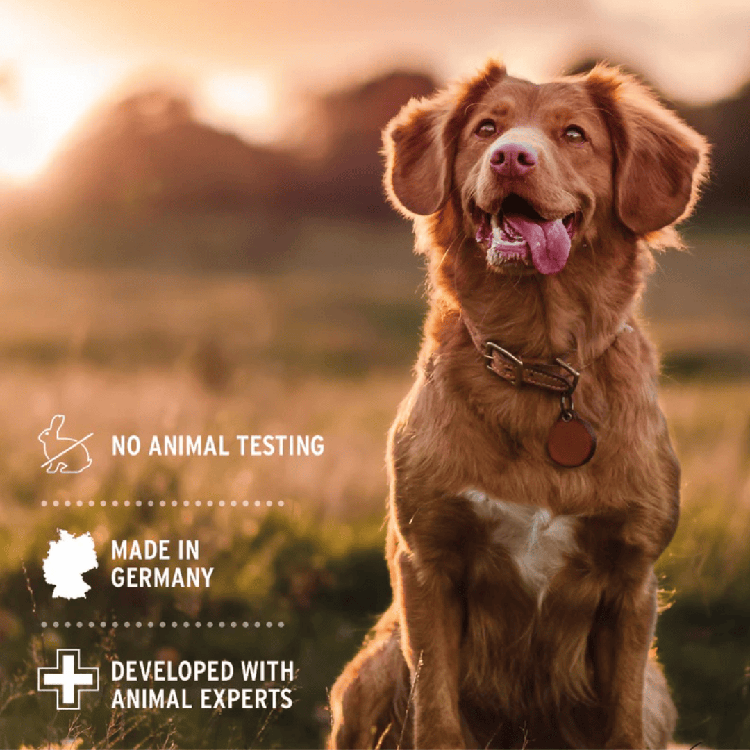 AniForte Fur Harmony Sensitive Shampoo for Dogs