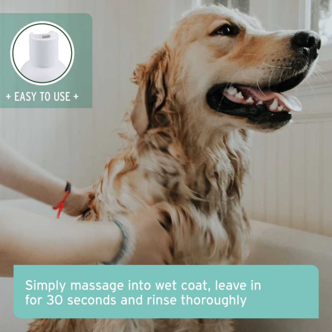 AniForte Fur Harmony Sensitive Shampoo for Dogs