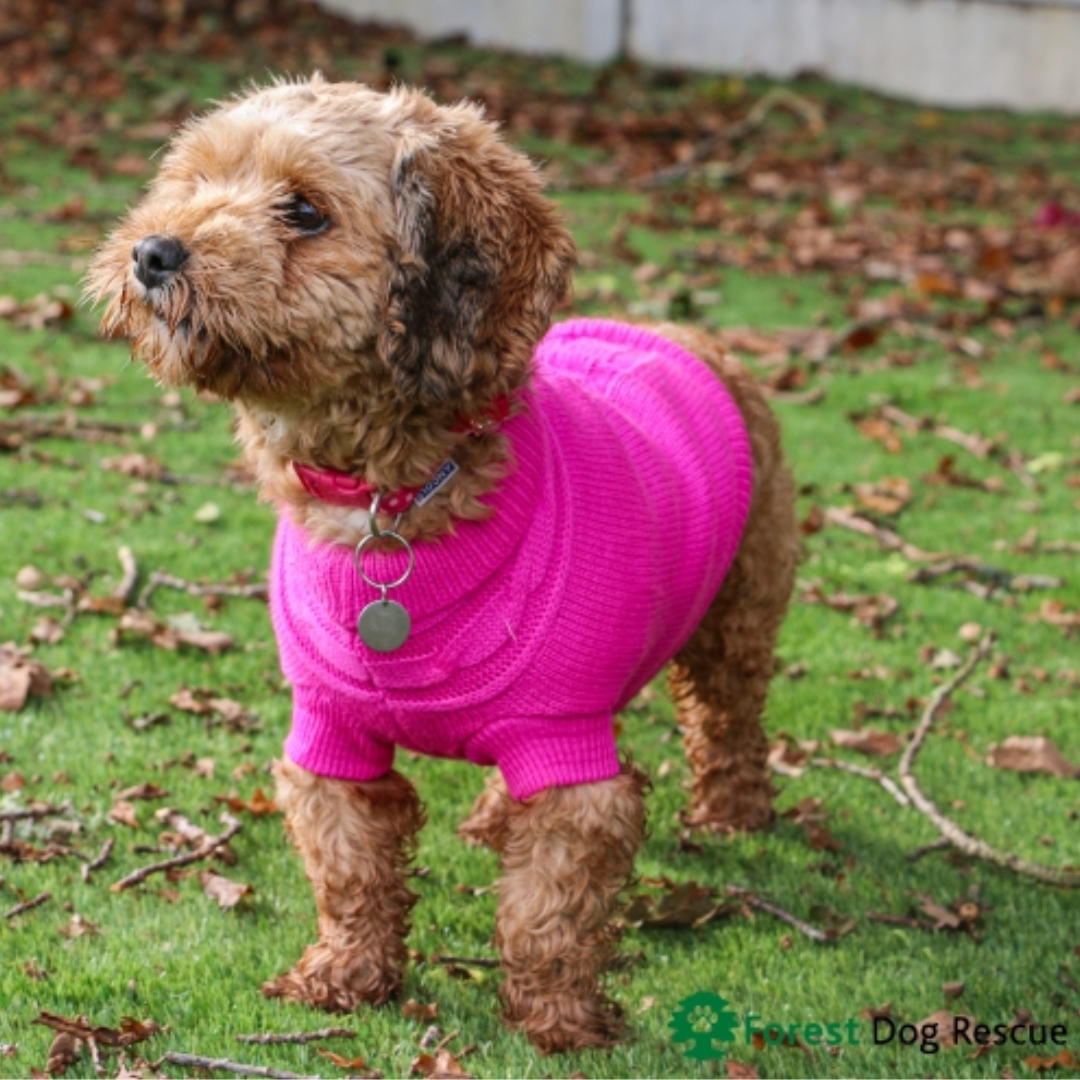 Ancol Cable Knit Jumper Pink