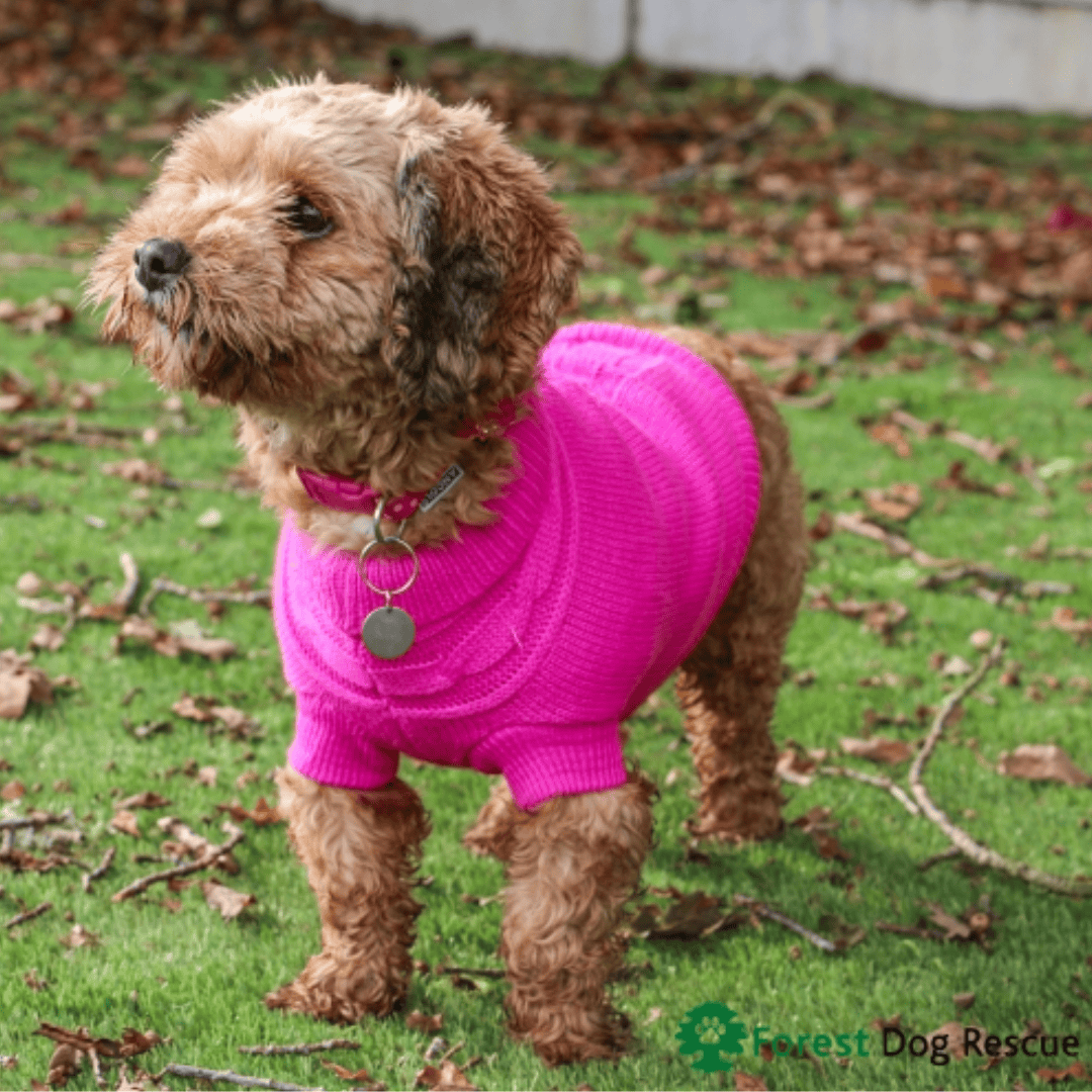 Ancol Cable Knit Jumper Pink