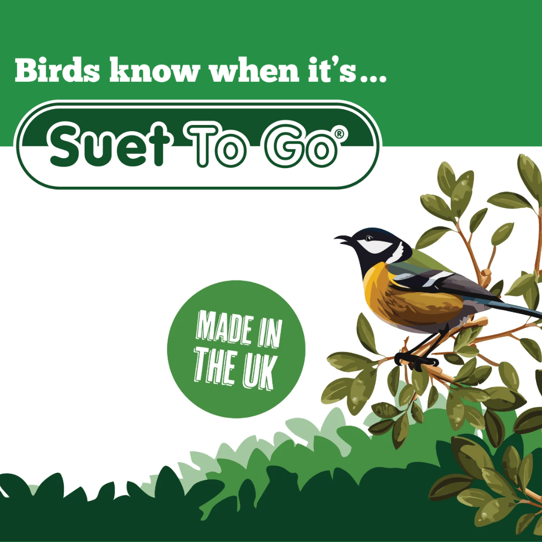 Suet To Go product image with a bird illustration, with branches and leaves, on a green and white background