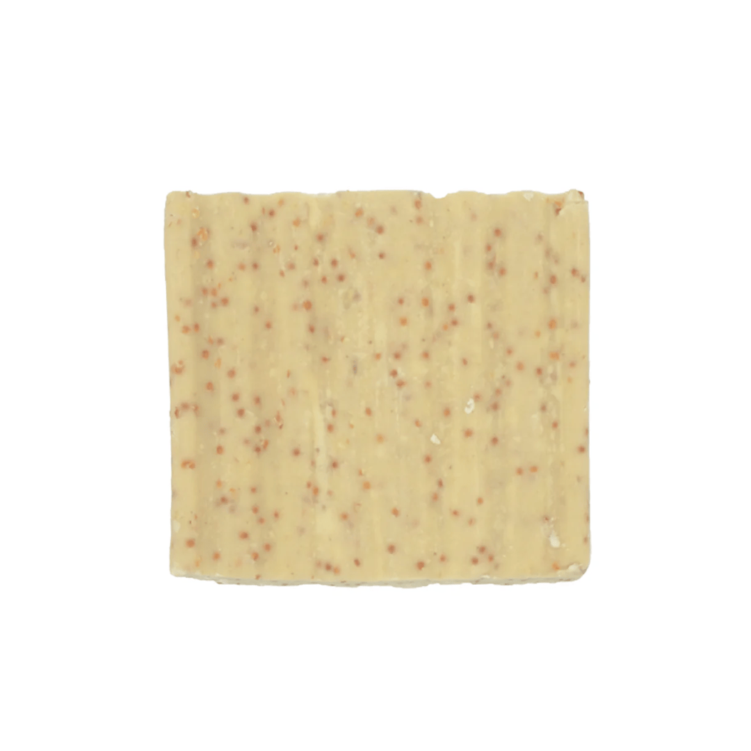 Suet To Go Suet Block With Mealworms 280g