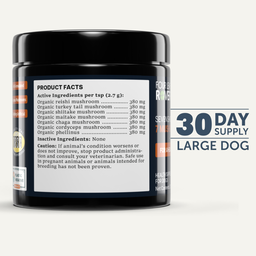 Four Leaf Rover - Immunity Seven Shrooms