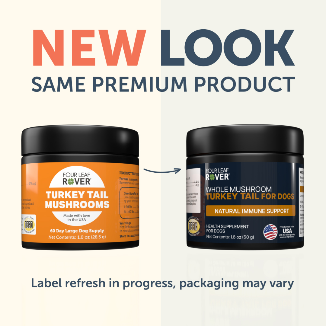 Four Leaf Rover - Turkey Tail Mushroom for Dogs