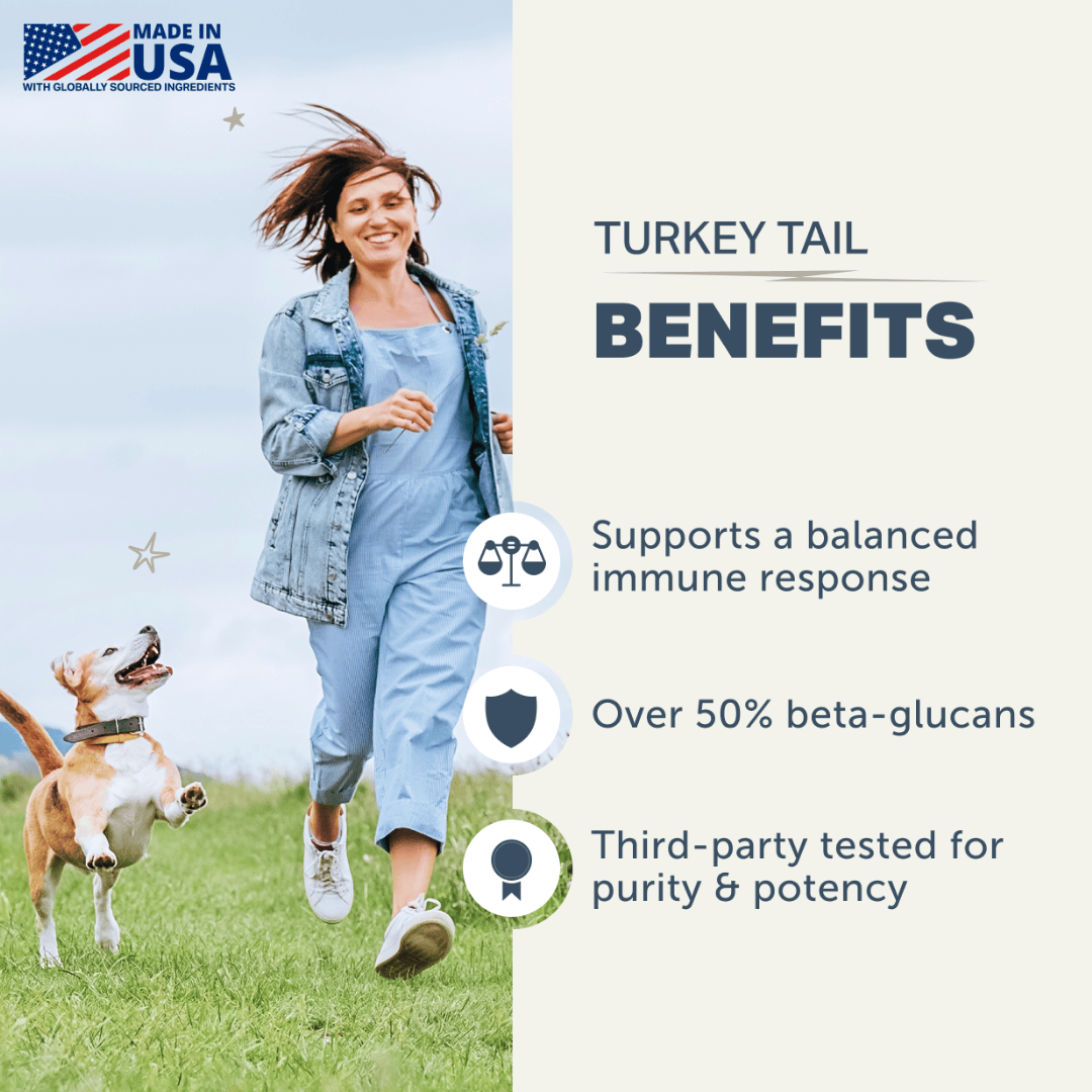 Four Leaf Rover - Turkey Tail Mushroom for Dogs