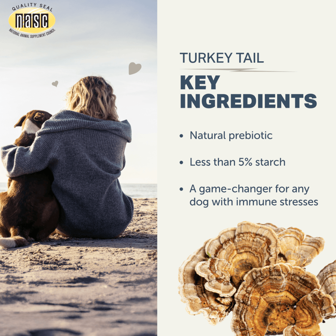 Four Leaf Rover - Turkey Tail Mushroom for Dogs