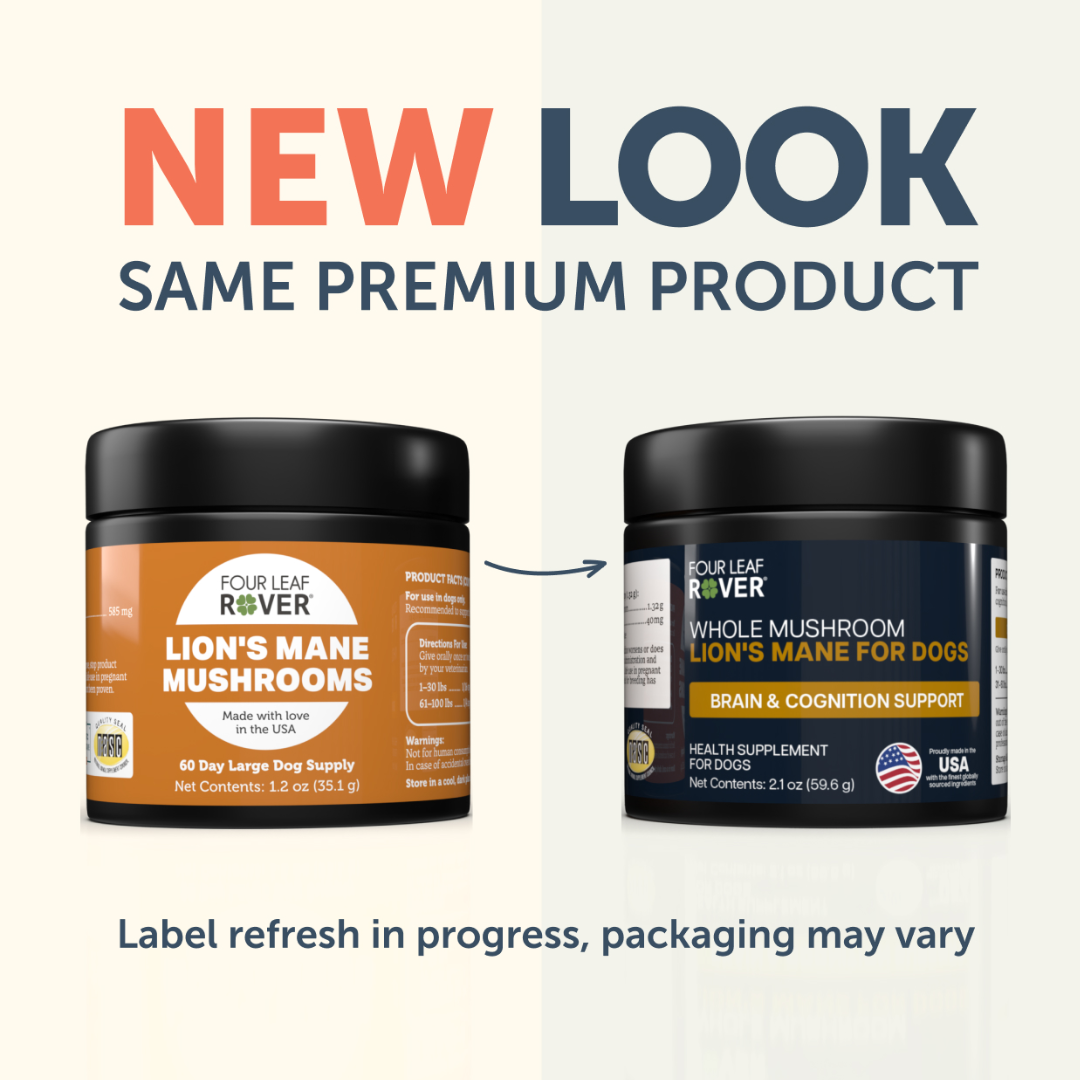 Four Leaf Rover - Lion's Mane Mushroom for Dogs