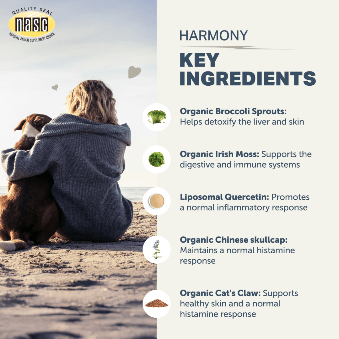 Four Leaf Rover - Harmony Seasonal Allergy Support
