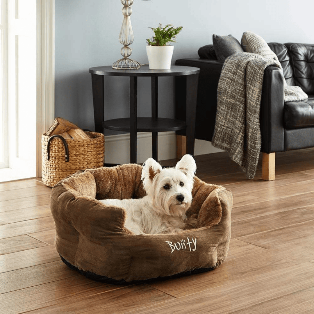 Dog lying in a bunty polar brown pet bed with 'Bunty' branding in a living room.