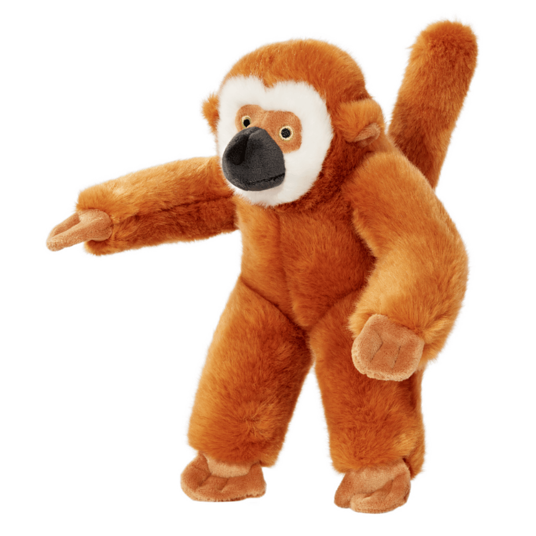 Plush Marcel monkey toy on a white background