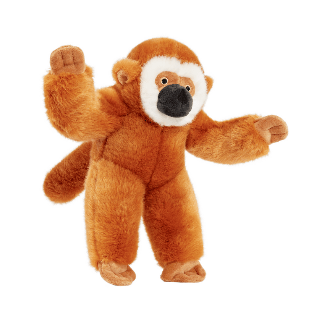 Plush marcel monkey toy with open arms on a white background