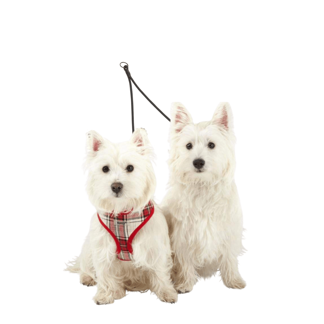 Bunty Dog Lead Splitter