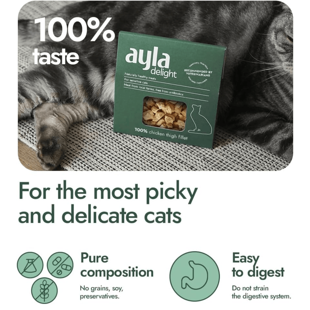 Ayla Delight Turkey Breast Fillet Cat Treats