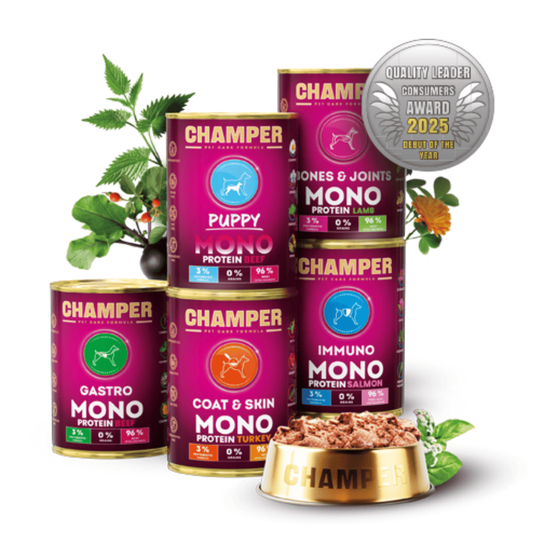 Champer Skin & Coat Wet Dog Food