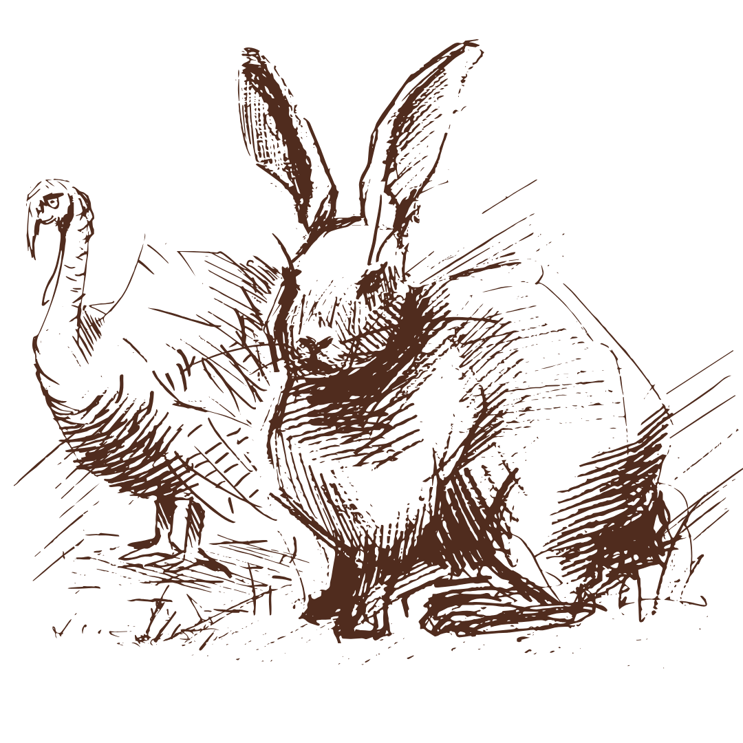 Illustration of a rabbit and a turkey standing close to each other on a white background