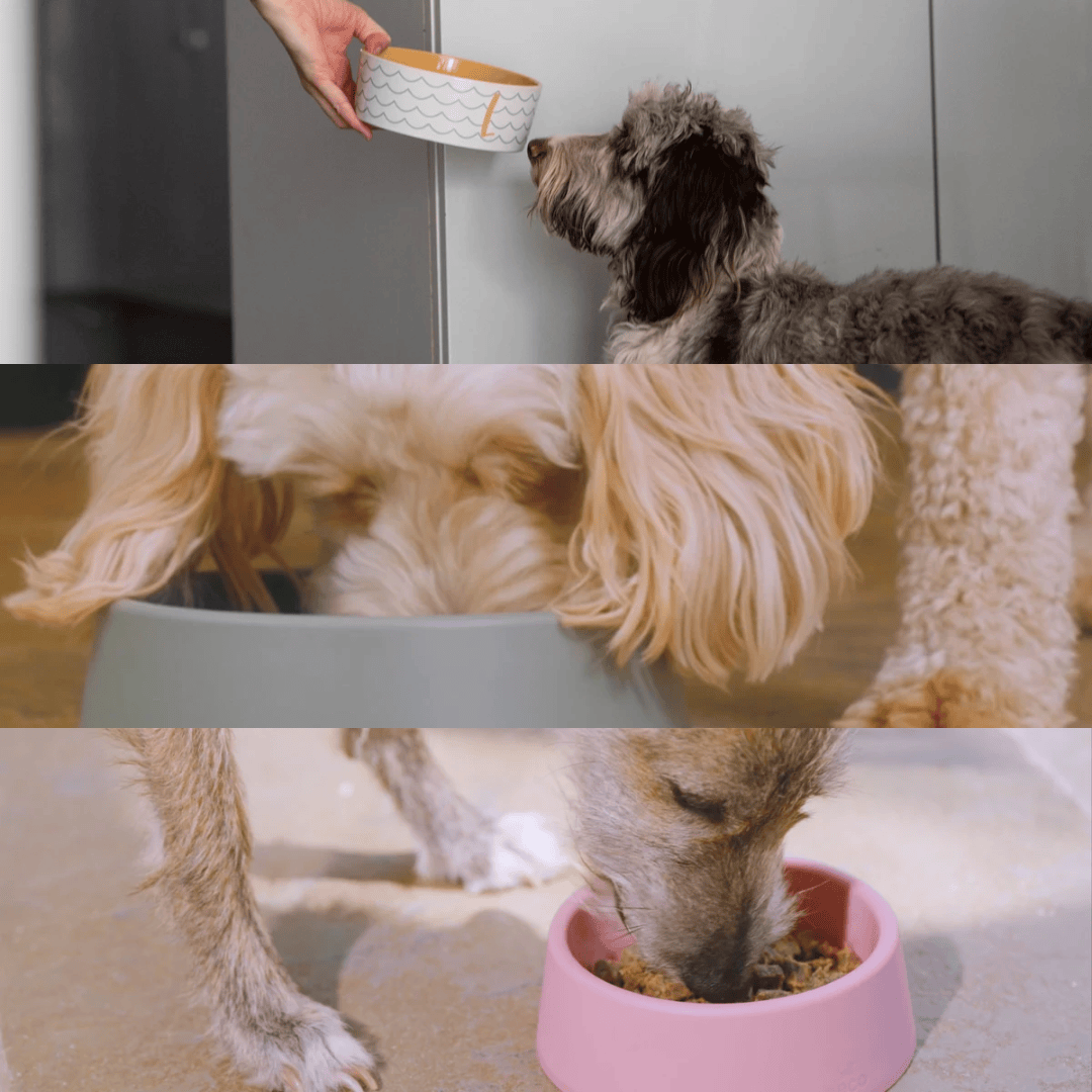 Innocent Hound Air Dried Beef Stew