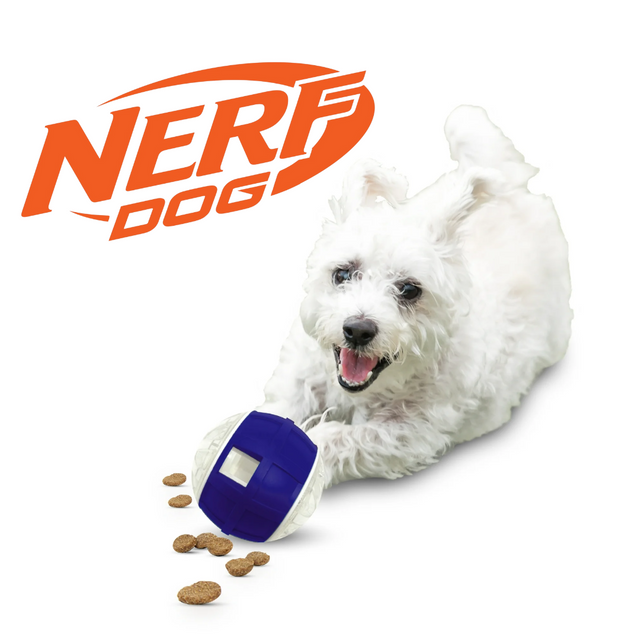 A white dog chasing after the Nerf Puzzle Slow Feeder Ball. There is kibble on the ground around the ball.
The Nerf Dog Logo is on display.