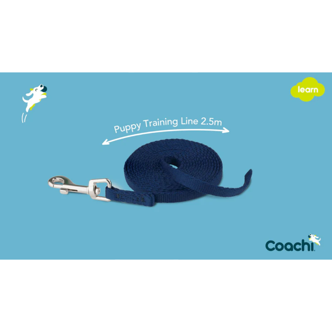 Coachi 2.5 Meter Puppy Training Line