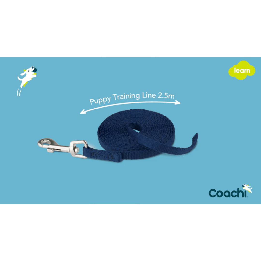 Coachi 2.5 Meter Puppy Training Line