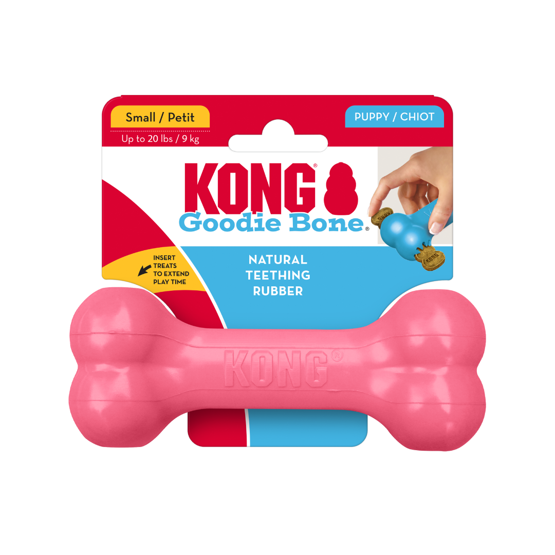 Kong Puppy Goodie Bone