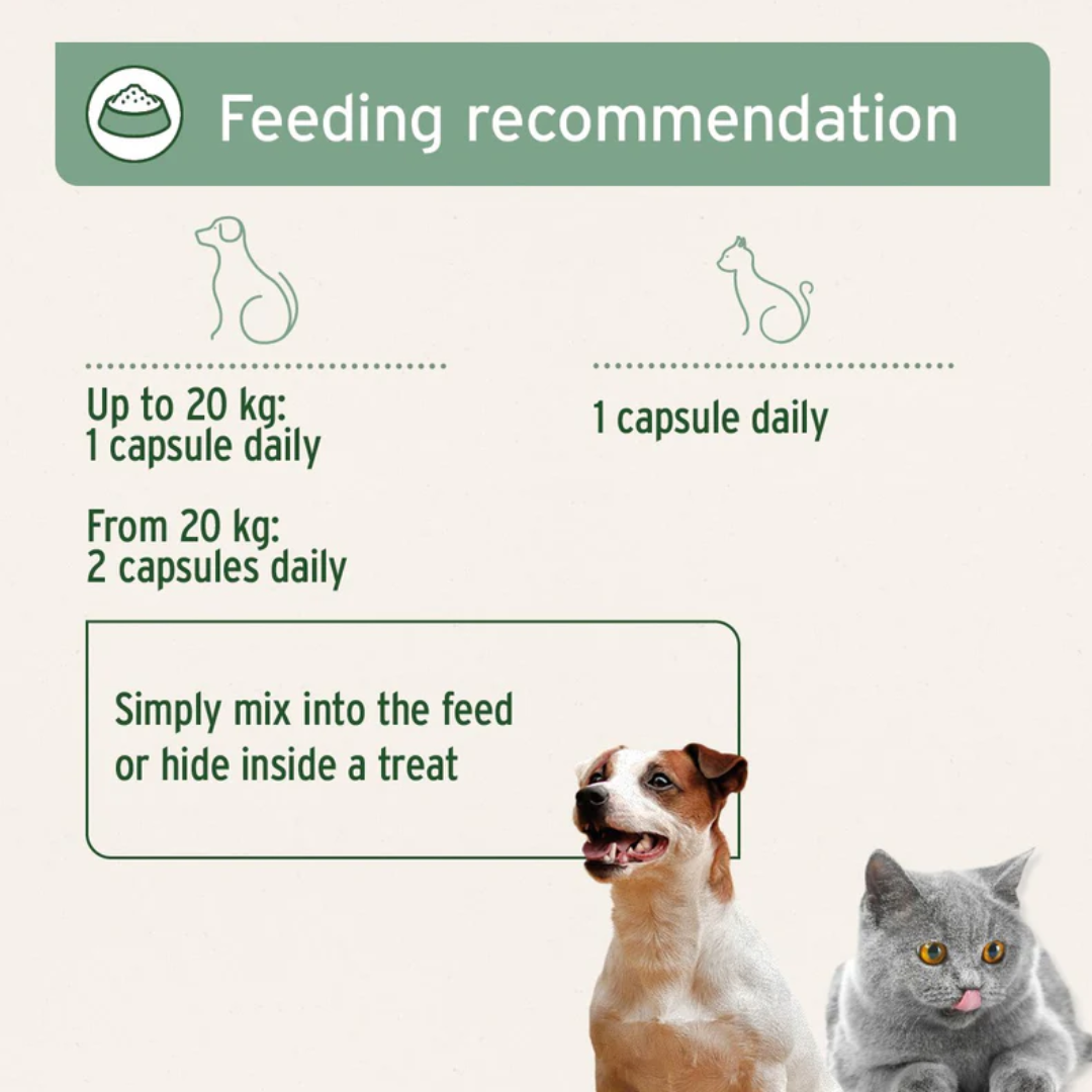 Aniforte Salmon Oil Capsules