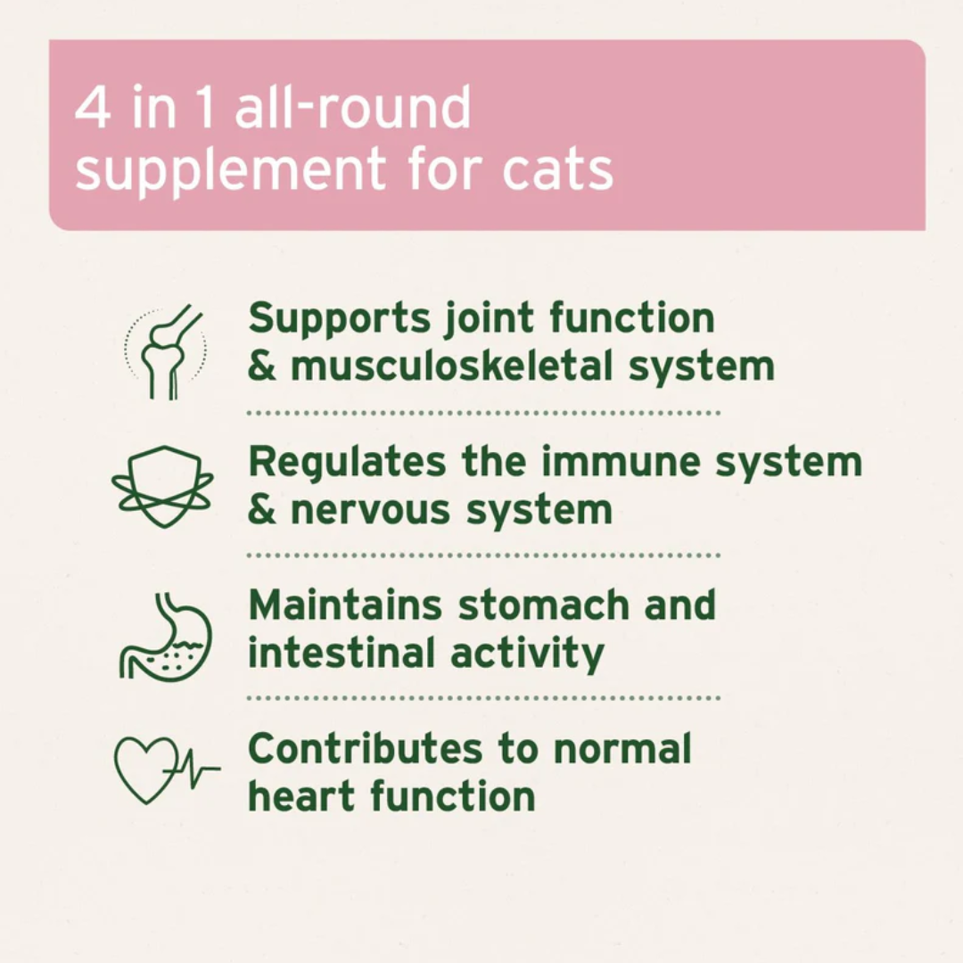 Aniforte 4in1 Complete Cat