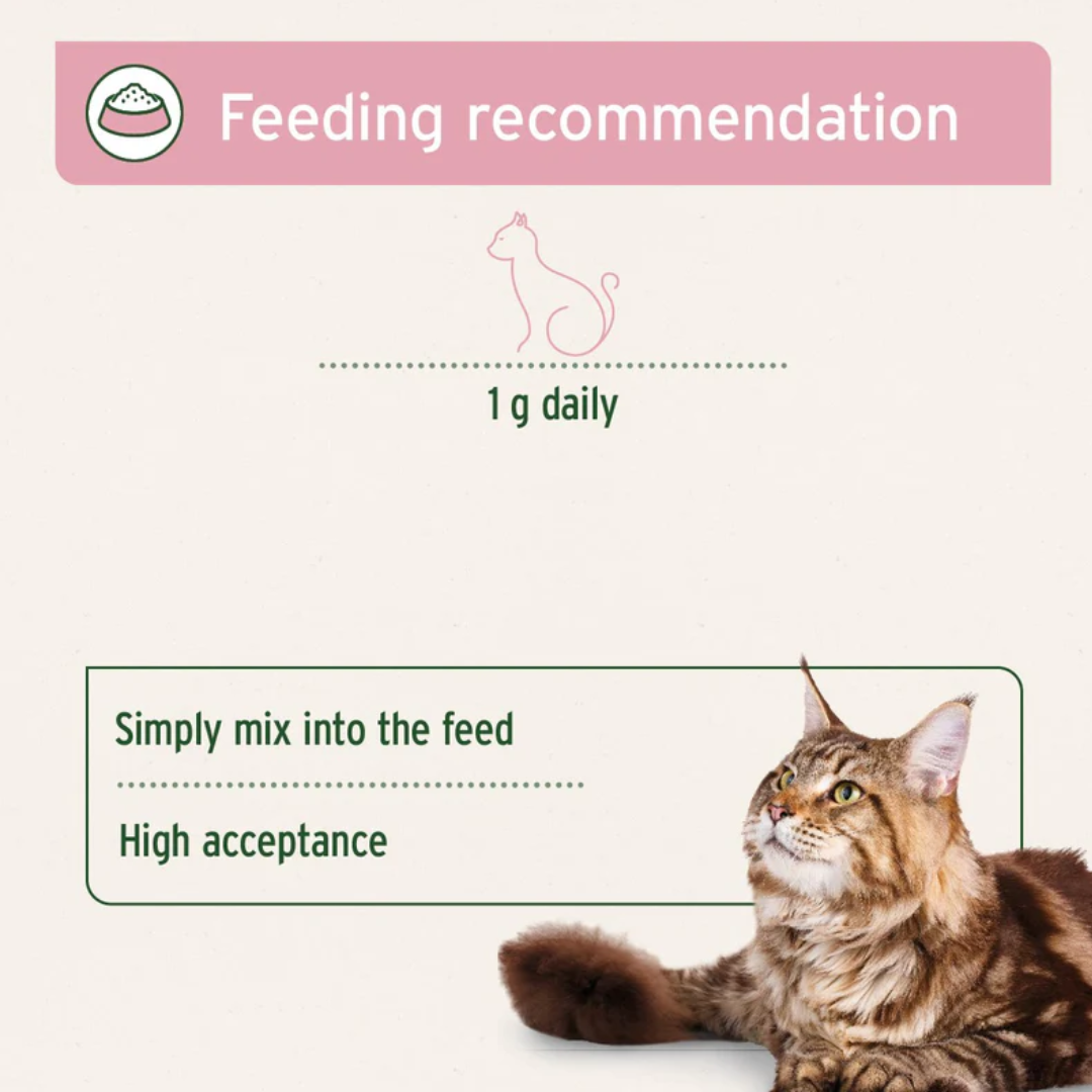 Aniforte 4in1 Complete Cat