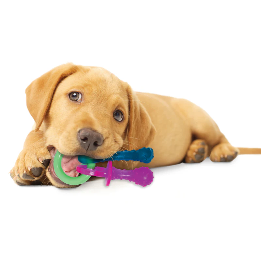 Nylabone Puppy Pacifier Teething Toy