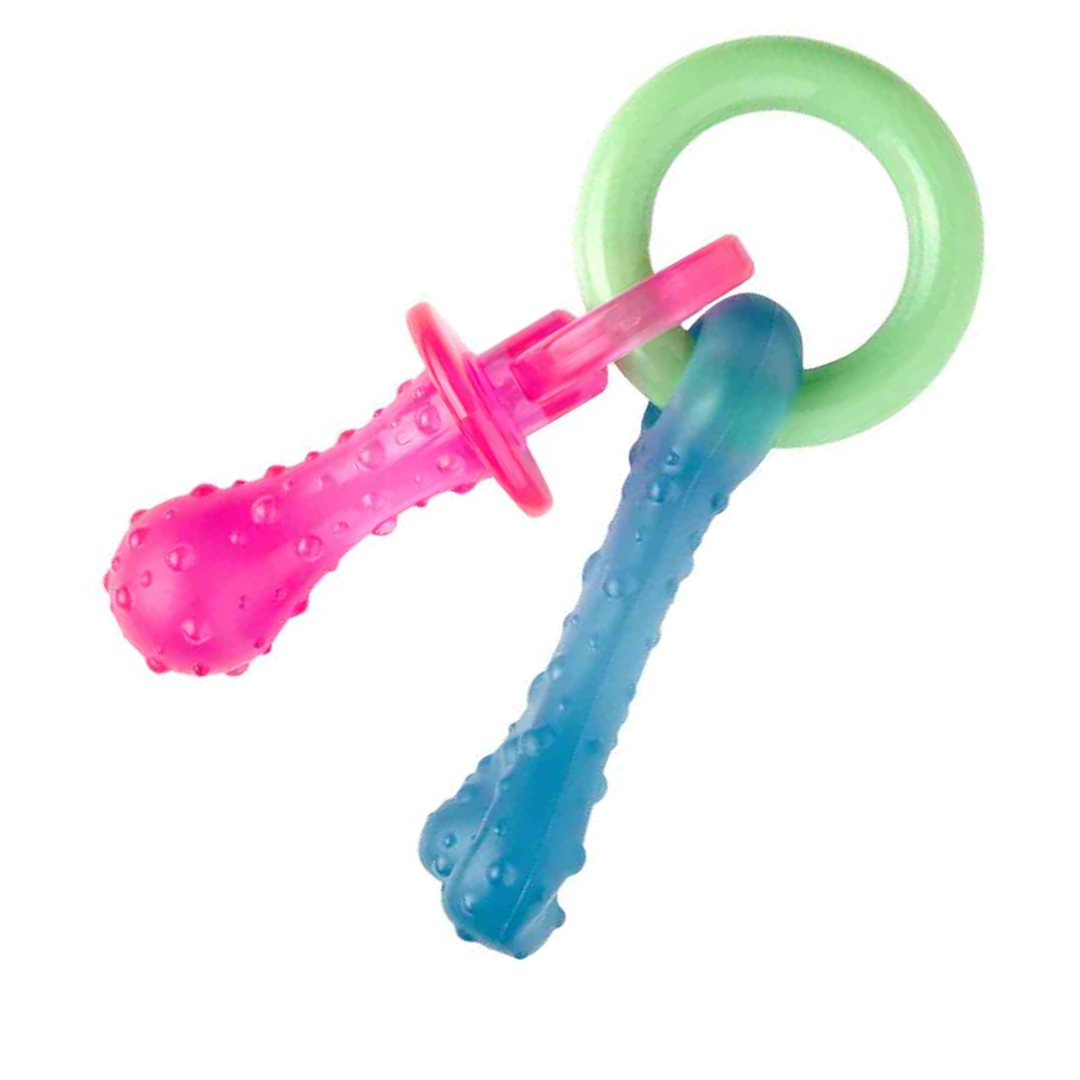 Nylabone Puppy Pacifier Teething Toy