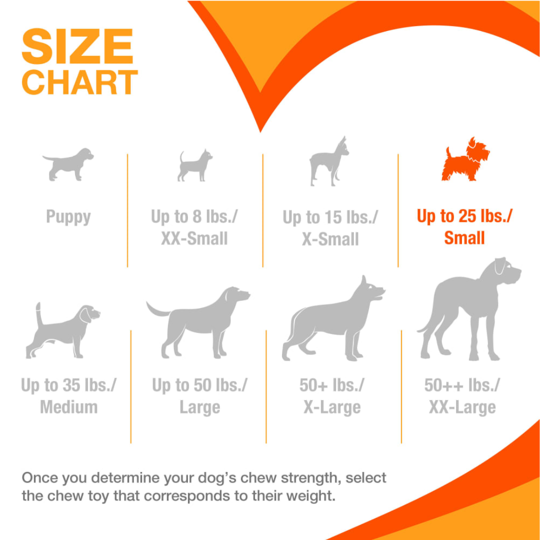 Nylabone Puppy Pacifier Teething Toy